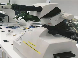 德国莱卡TXP检镜切片机